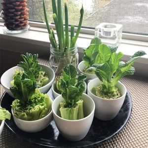 Meet your Posher, Mao